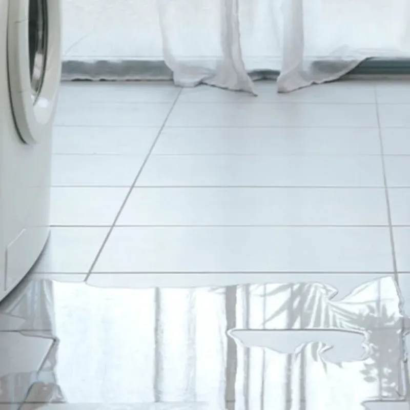 Appliance Leak Cleanup in Moody County, SD
