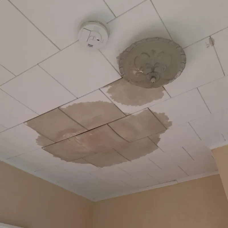 Ceiling Water Damage Repair in Moody County, SD