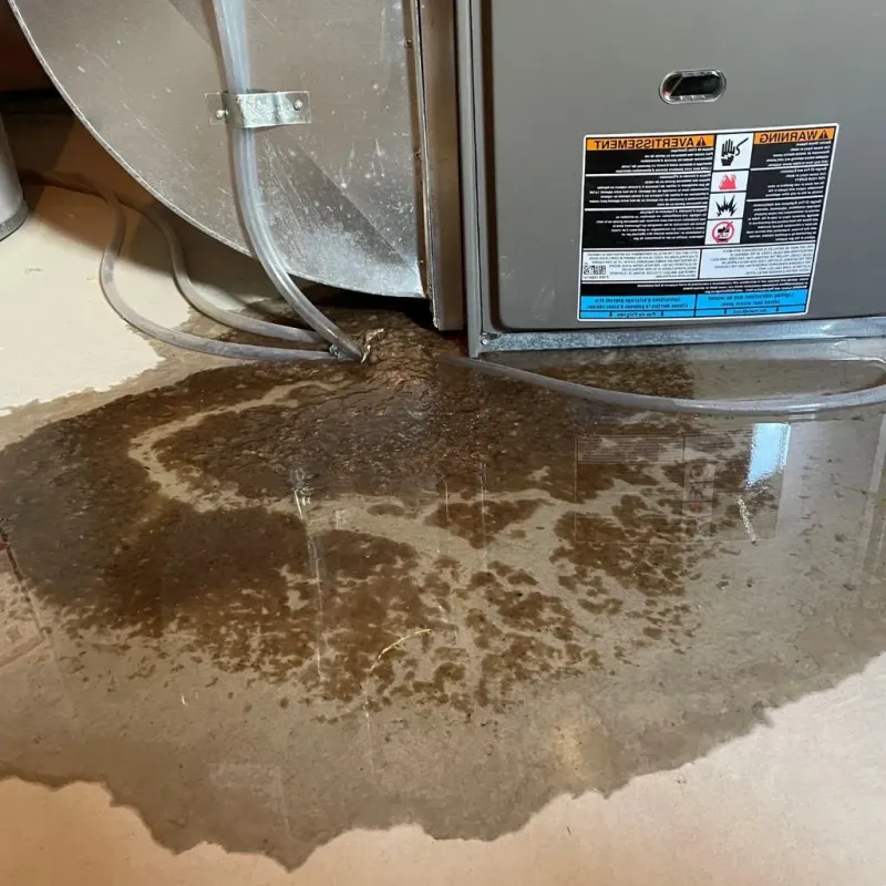 Pipe Burst and Leak Restoration in Moody County, SD