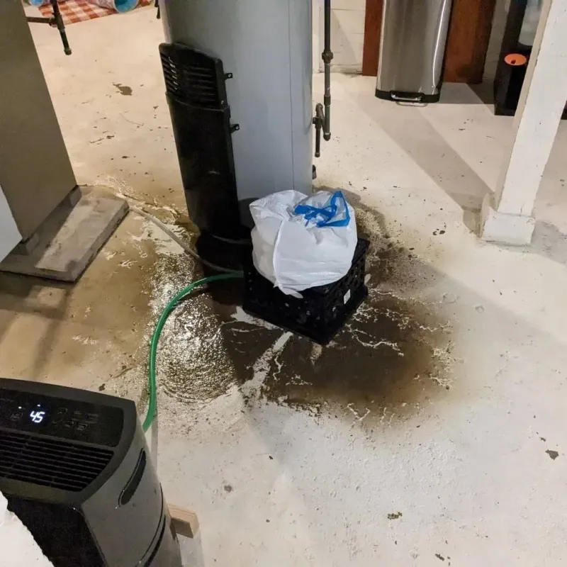 Sewage Backup Cleanup Service in Moody County, SD